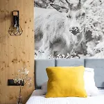 Apartment Stacja Nosal *