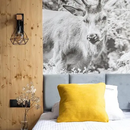 Apartmán Stacja Nosal *